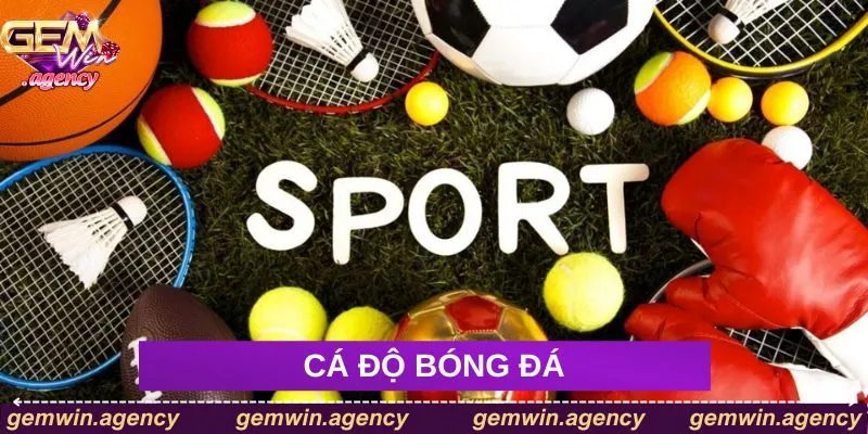 Cá độ bóng đá nhận thưởng lớn Cá độ bóng đá nhận thưởng lớn